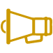 Systemic Advocacy Icon